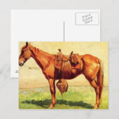 Kuh Pony Postkarte (Vorne/Hinten)