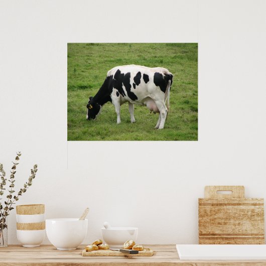 Kuh Poster (Küche)