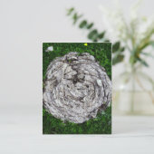 Kuh Postkarte (Stehend Vorderseite)