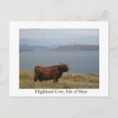 Kuh Postkarte (Vorderseite)