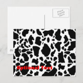 Kuh Postkarte (Vorne/Hinten)