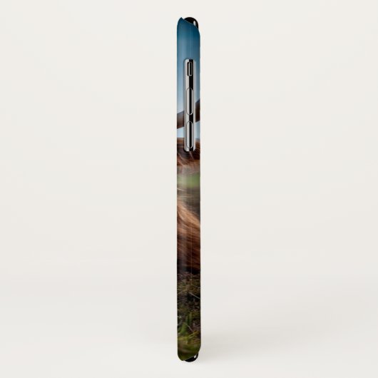 Kuh-Rindfleisch-Schottland-Hochland iPhone Fall Case-Mate iPhone Hülle (Hinten/Links)
