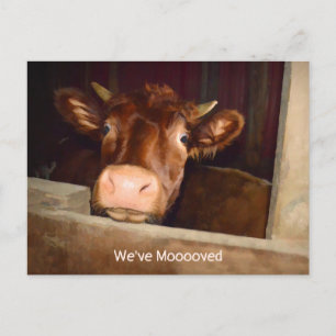 Kuh Rustikale Landhausstall Funny Farm Moving Card Postkarte