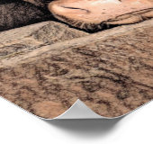 Kuh Rustikale Vintage Skizze Landgasthof Poster (Ecke)