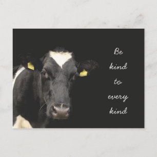 Kuh Seien Sie freundlich zu jeder Art Postkarte