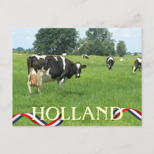 Kuh sieht Sie Holland Cows Postkarte