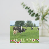 Kuh sieht Sie Holland Cows Postkarte (Stehend Vorderseite)