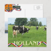 Kuh sieht Sie Holland Cows Postkarte (Vorne/Hinten)