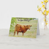 Kuh sieht überraschend Pun Birthday Card aus Karte (Gelbe Blume)