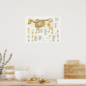 Kuh Skelettanatomie Poster (Küche)