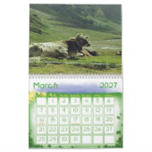 KUH-SPASS-ABDECKUNGS-KALENDER KALENDER (Mär 2027)