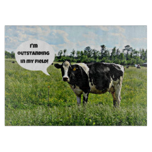 Kuh-Spaß: "Ich bin hervorragend in meinem Feld." Schneidebrett