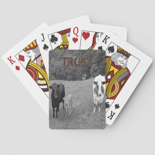 Kuh Spielkarten-Deck Spielkarten (Rückseite)