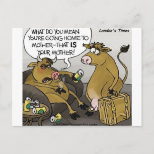 Kuh Stier Scheidung Lustige Cartoon Geschenke & T- Postkarte