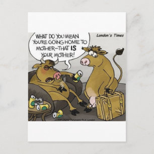 Kuh Stier Scheidung Lustige Cartoon Geschenke & T- Postkarte
