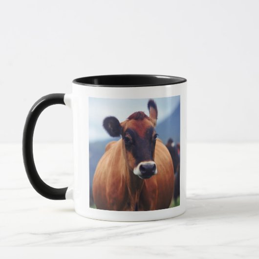 Kuh Tasse (Links)