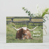Kuh Texas Longhorn Foto Geburtstag Einladung (Stehend Vorderseite)