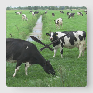 Kuh-Uhr Quadratische Wanduhr