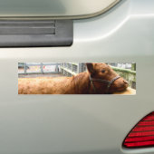 Kuh-Umarmung Autoaufkleber (Auf Auto)