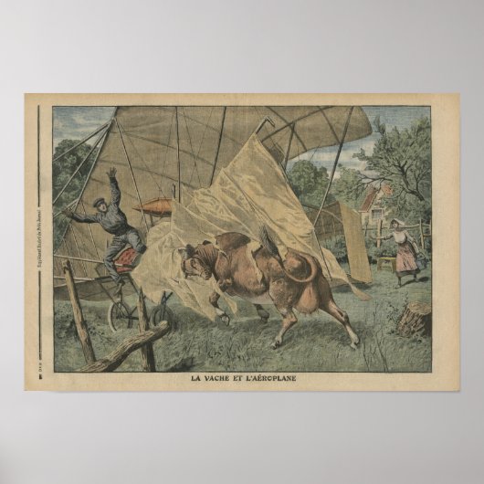 Kuh und Flugzeug Poster (Vorne)