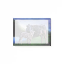 Kuh und Kalb am ruhigen See in den Hügeln von Roll