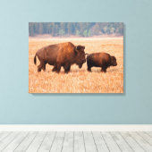 Kuh und Kalb (Bison Bison) Leinwanddruck (Insitu (Holzboden))
