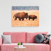 Kuh und Kalb (Bison Bison) Leinwanddruck (Insitu (Wohnzimmer))