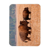 Kuh und Kalb (Bison Bison) Magnet (Vertikal)