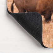 Kuh und Kalb (Bison Bison) Mousepad (Ecke)