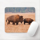 Kuh und Kalb (Bison Bison) Mousepad (Mit Mouse)