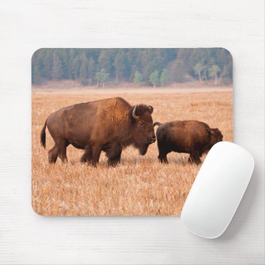 Kuh und Kalb (Bison Bison) Mousepad (Mit Mouse)