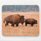 Kuh und Kalb (Bison Bison) Mousepad (Vorne)