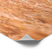 Kuh und Kalb (Bison Bison) Poster (Ecke)