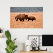 Kuh und Kalb (Bison Bison) Poster (Heimbüro)