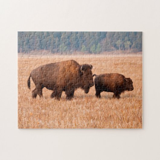 Kuh und Kalb (Bison Bison) Puzzle (Horizontal)