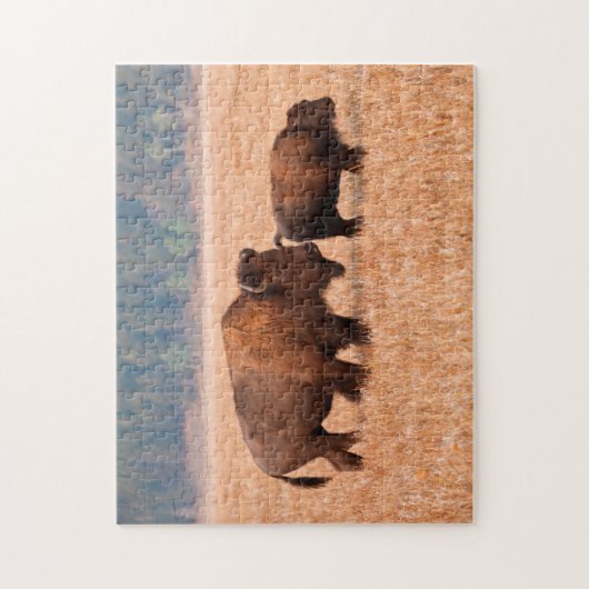 Kuh und Kalb (Bison Bison) Puzzle (Vertikal)