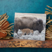 Kuh und Kalb Bison, Gelbstein Fotoplatte (Seite)