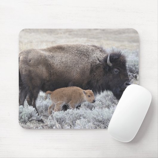 Kuh und Kalb Bison, Gelbstein Mousepad (Mit Mouse)