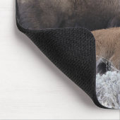 Kuh und Kalb Bison, Gelbstein Mousepad (Ecke)