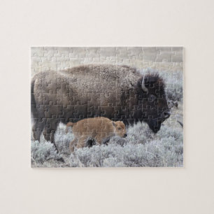 Kuh und Kalb Bison, Gelbstein Puzzle