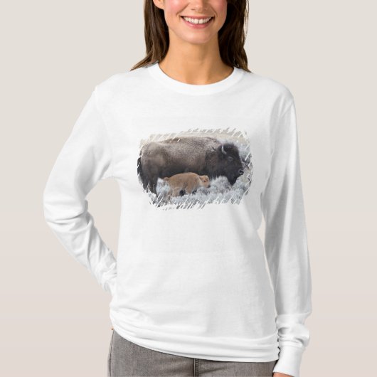 Kuh und Kalb Bison, Gelbstein T-Shirt (Vorderseite)