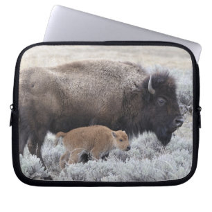 Kuh und Kalb Bison, Yellowstone Laptopschutzhülle
