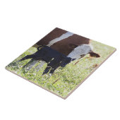 Kuh und Kalb Fliese (Seite)