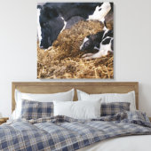 Kuh und Kalb in Hay Leinwanddruck (Insitu (Schlafzimmer))