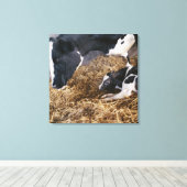Kuh und Kalb in Hay Leinwanddruck (Insitu (Holzboden))