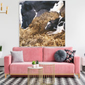 Kuh und Kalb in Hay Leinwanddruck (Insitu (Wohnzimmer))