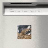 Kuh und Kalb in Hay Magnet (In Situ (Geschirrspüler))
