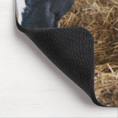 Kuh und Kalb in Hay Mousepad (Ecke)