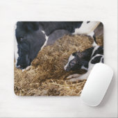 Kuh und Kalb in Hay Mousepad (Mit Mouse)