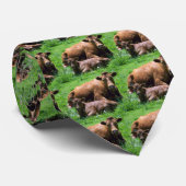 Kuh und Kalb Krawatte (Gerollt)